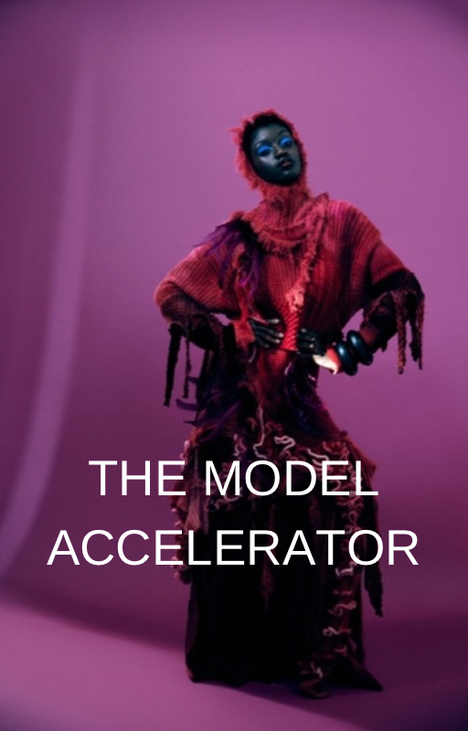 The Model Accelerator